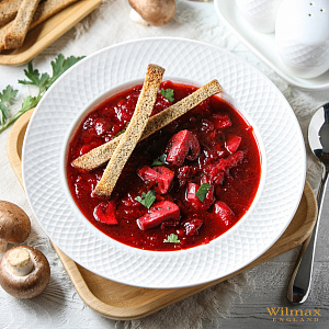 Тарелка суповая 22,5 см. JULIA фарфор арт. WL-880102/A WILMAX 