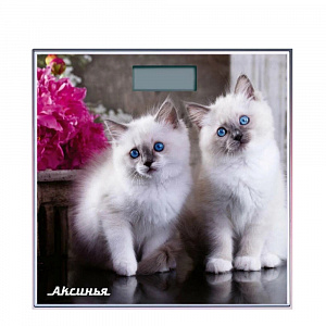 Весы напол. электр. Аксинья "Пушистые котята", до 180 кг, арт. КС-6003 