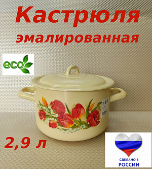 ЭМ_Кастрюля 2,9 л цил. ДЕКОЛЬ арт. С16111/4КмЭ, С-1611/4Э, С16111/4Жм 